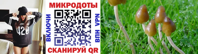 Галлюциногенные грибы MAGIC MUSHROOMS  нарко площадка телеграм  Бакал 