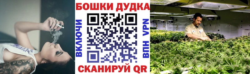 Марихуана гибрид  купить наркоту  Бакал 